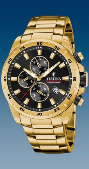 FESTINA 20541/4