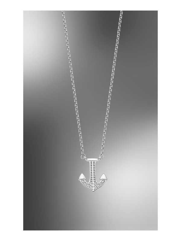 LOTUS SILVER 1855/1/1