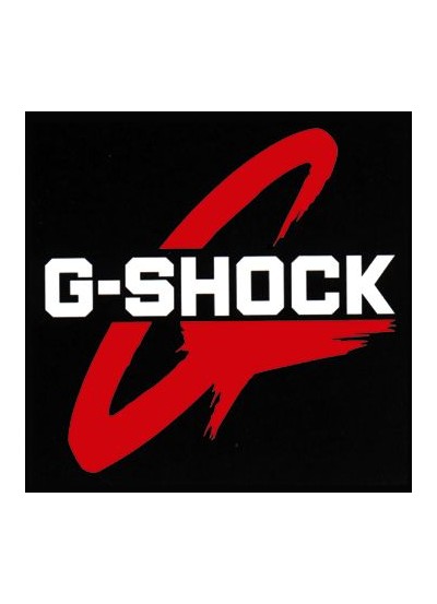 CASIO GA-2100-1A4ER 2