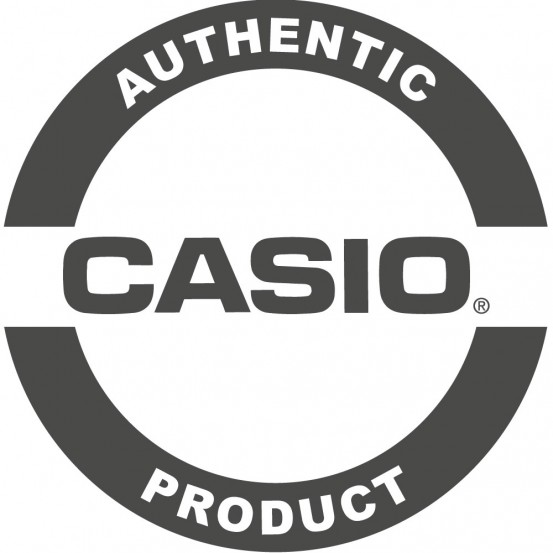 CORREA CASIO GA-100 2
